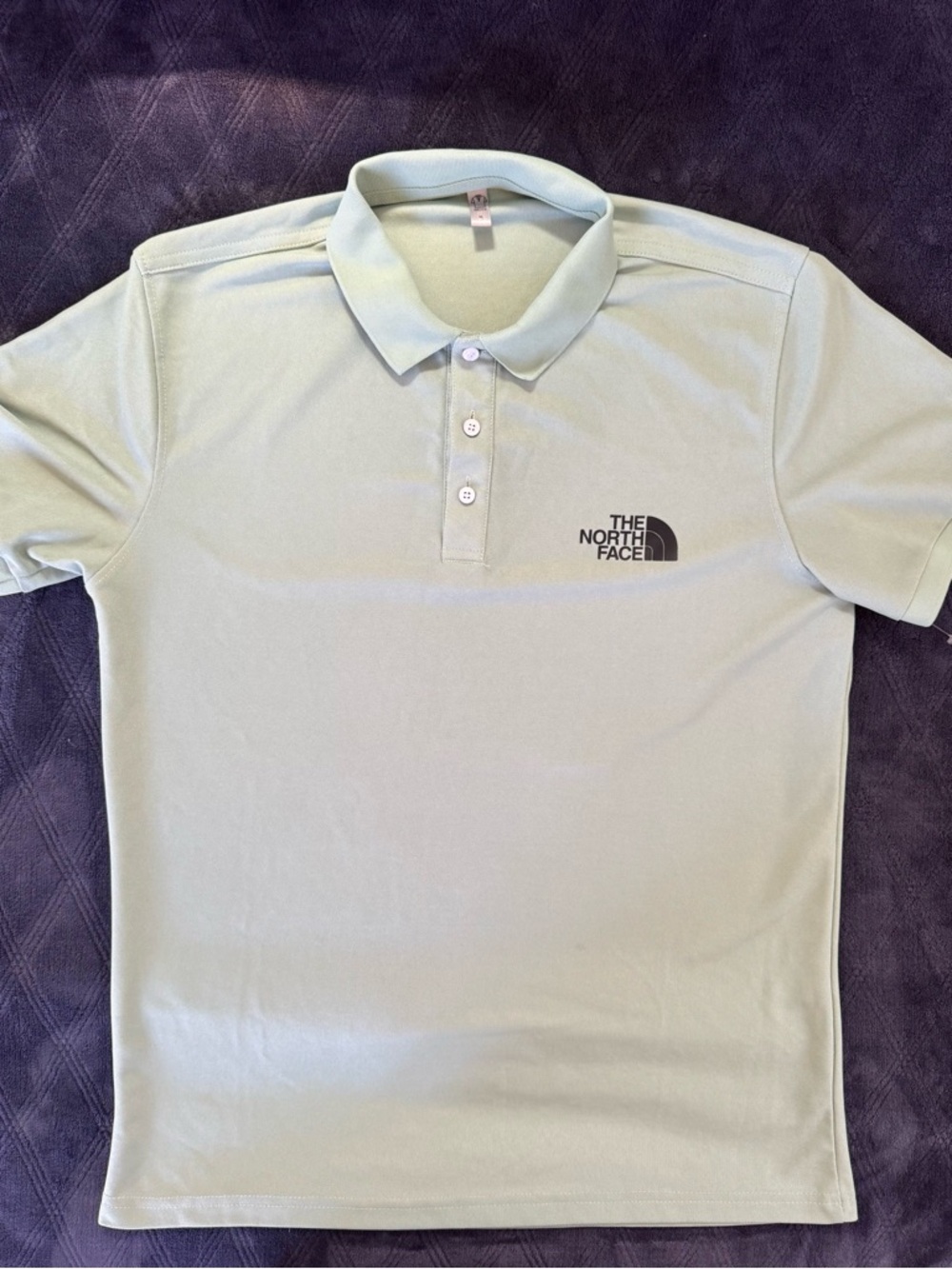 The North Face Men's Polo Shirt in Light Mint